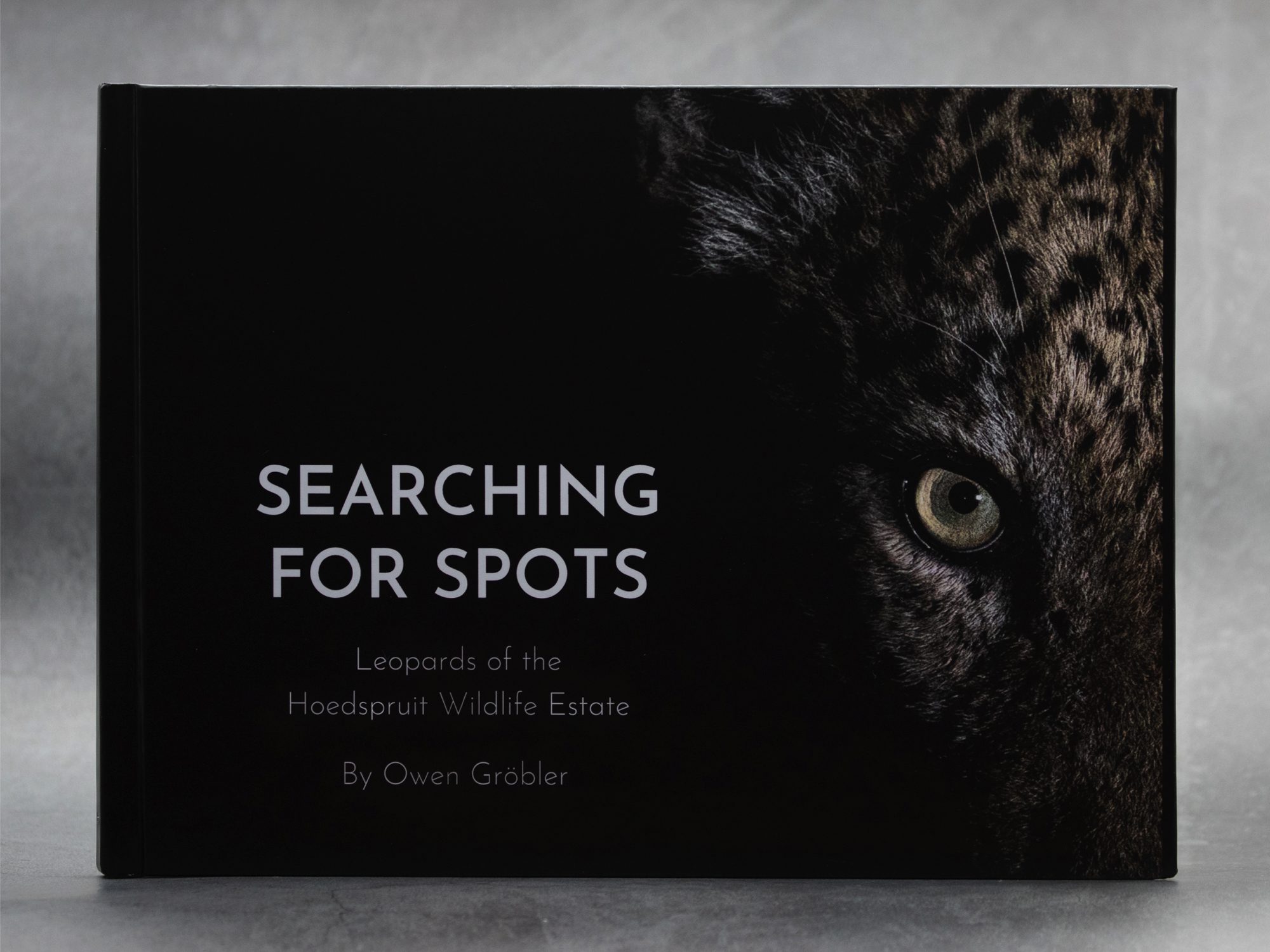 Leopards of the Hoedspruit Wildlife Estate